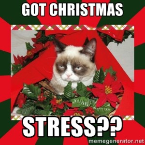 Hope for the Holidays Not Christmas Stress