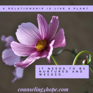 Marriage are like plants